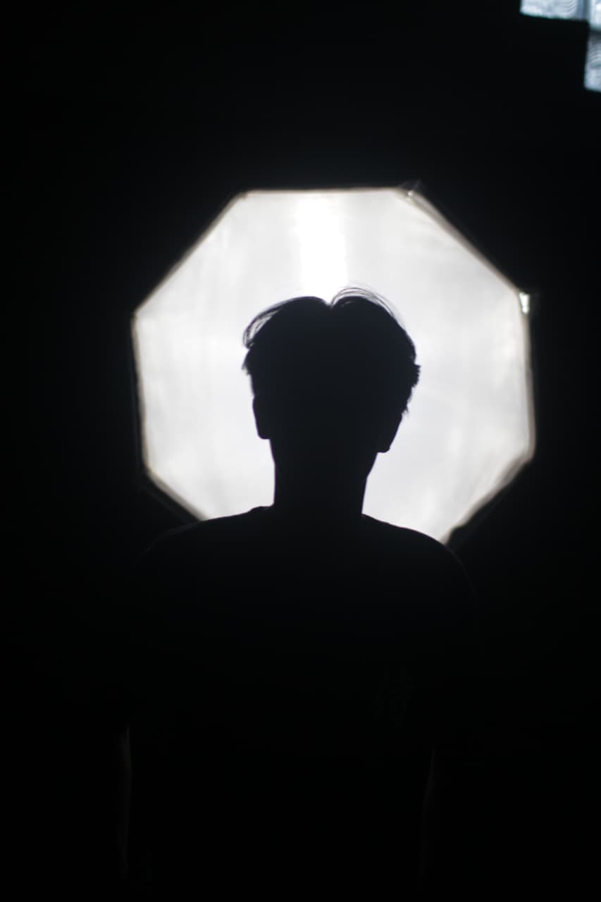 OCTABOX SILHOUETTE STUDY